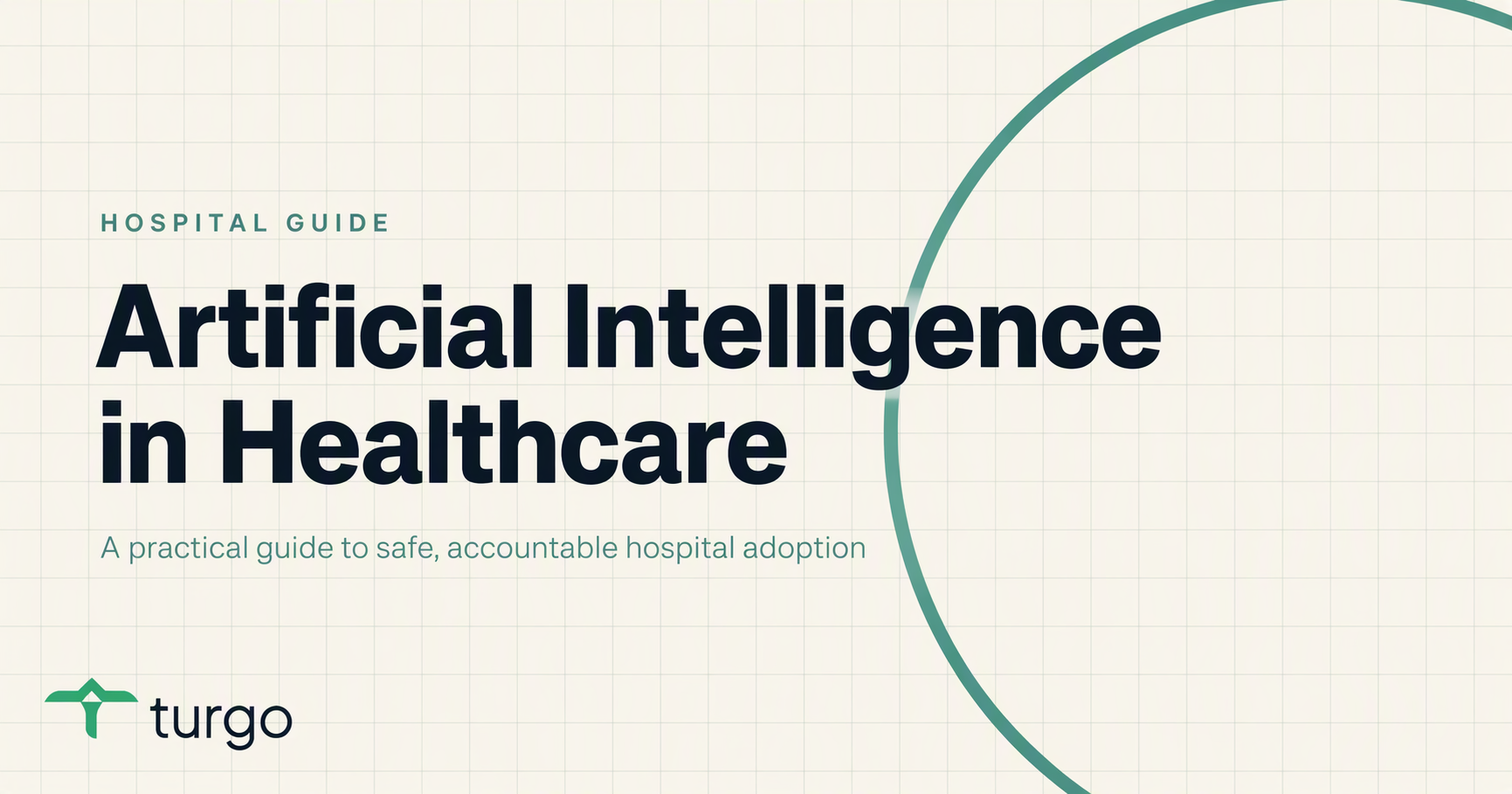 Artificial Intelligence in Healthcare: A Hospital Guide